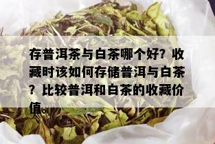 存普洱茶与白茶哪个好？收藏时该如何存储普洱与白茶？比较普洱和白茶的收藏价值。