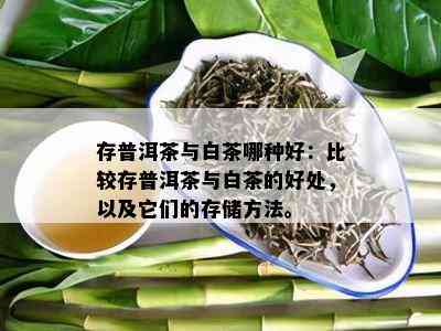 存普洱茶与白茶哪种好：比较存普洱茶与白茶的好处，以及它们的存储方法。