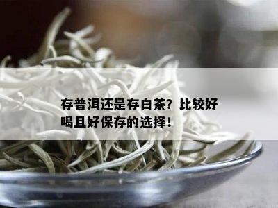 存普洱还是存白茶？比较好喝且好保存的选择！