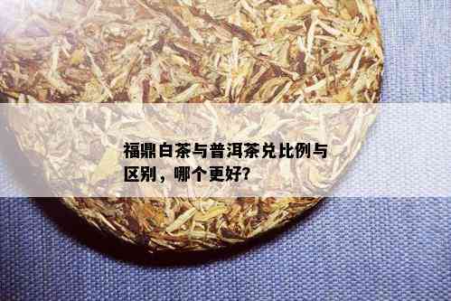 福鼎白茶与普洱茶兑比例与区别，哪个更好？