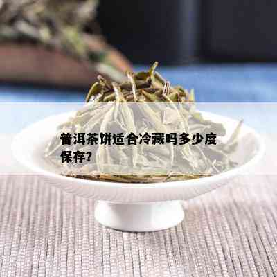 普洱茶饼适合冷藏吗多少度保存？