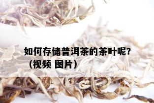 如何存储普洱茶的茶叶呢？（视频 图片）