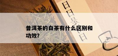 普洱茶的白茶有什么区别和功效？