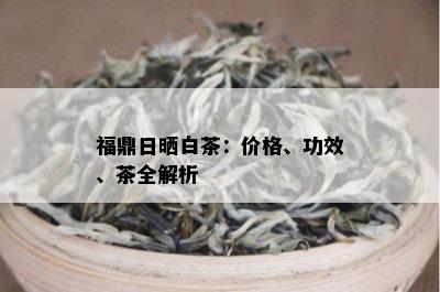 福鼎日晒白茶：价格、功效、茶全解析