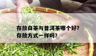 存放白茶与普洱茶哪个好？存放方式一样吗？