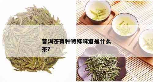 普洱茶有种特殊味道是什么茶？