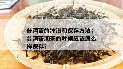 普洱茶的冲泡和保存方法：普洱茶沏茶的时候应该怎么样保存？