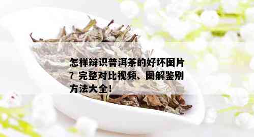 怎样辩识普洱茶的好坏图片？完整对比视频、图解鉴别方法大全！