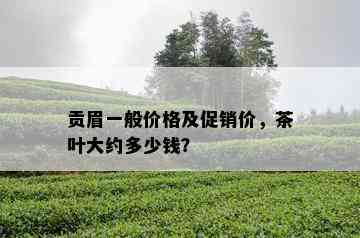 贡眉一般价格及促销价，茶叶大约多少钱？