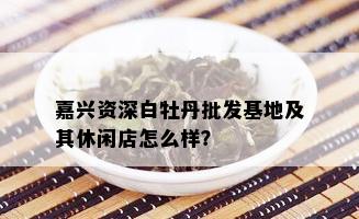 嘉兴资深白牡丹批发基地及其休闲店怎么样？