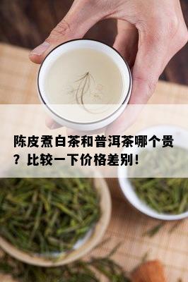 陈皮煮白茶和普洱茶哪个贵？比较一下价格差别！