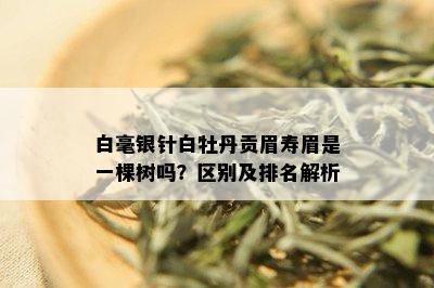 白毫银针白牡丹贡眉寿眉是一棵树吗？区别及排名解析