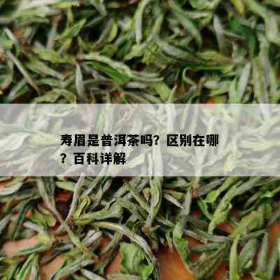 寿眉是普洱茶吗？区别在哪？百科详解