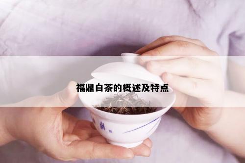 福鼎白茶的概述及特点