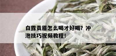 白露贡眉怎么喝才好喝？冲泡技巧视频教程！