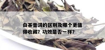 白茶普洱的区别及哪个更值得收藏？功效是否一样？