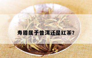 寿眉属于普洱还是红茶？