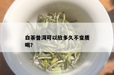 白茶普洱可以放多久不变质喝？