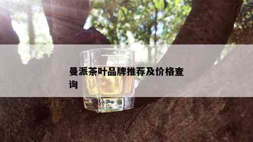 曼派茶叶品牌推荐及价格查询