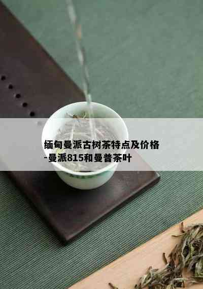 缅甸曼派古树茶特点及价格-曼派815和曼普茶叶