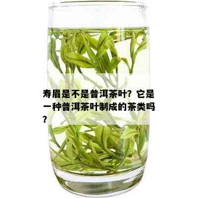 寿眉是不是普洱茶叶？它是一种普洱茶叶制成的茶类吗？