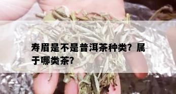 寿眉是不是普洱茶种类？属于哪类茶？