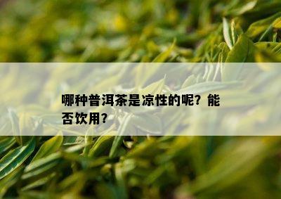 哪种普洱茶是凉性的呢？能否饮用？