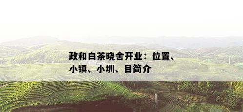 政和白茶晓舍开业：位置、小镇、小圳、目简介