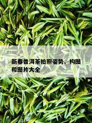 新春普洱茶拍照姿势、构图和图片大全