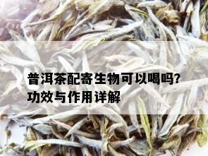 普洱茶配寄生物可以喝吗？功效与作用详解