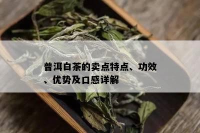 普洱白茶的卖点特点、功效、优势及口感详解