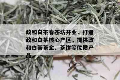 政和白茶春茶坊开业，打造政和白茶核心产区，提供政和白茶茶企、茶饼等优质产品