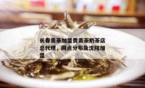 长春贡茶加盟费贡茶奶茶店总代理，网点分布及沈阳加盟