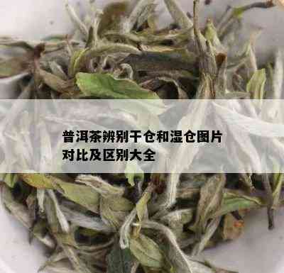 普洱茶辨别干仓和湿仓图片对比及区别大全