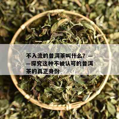 不入流的普洱茶叫什么？——探究这种不被认可的普洱茶的真正身份