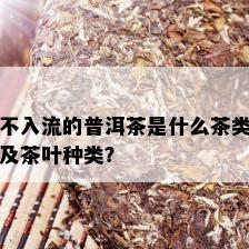 不入流的普洱茶是什么茶类及茶叶种类？