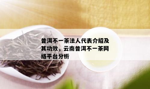 普洱不一茶法人代表介绍及其功效，云南普洱不一茶网络平台分析