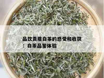 品饮贡眉白茶的感受和收获：白茶品鉴体验