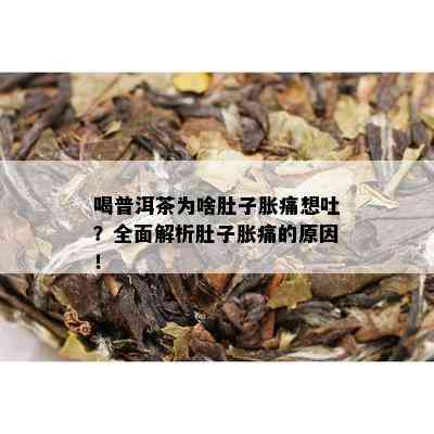 喝普洱茶为啥肚子胀痛想吐？全面解析肚子胀痛的原因！