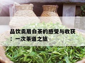 品饮贡眉白茶的感受与收获：一次茶道之旅