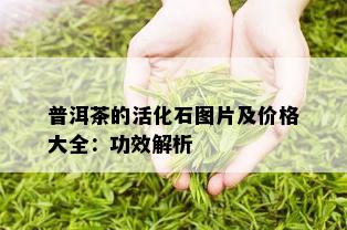 普洱茶的活化石图片及价格大全：功效解析