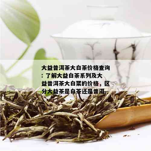 大益普洱茶大白茶价格查询: 了解大益白茶系列及大益普洱茶大白菜的价格，区分大益茶是白茶还是普洱。