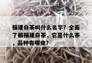 福建白茶叫什么名字？全面了解福建白茶，它是什么茶，品种有哪些？