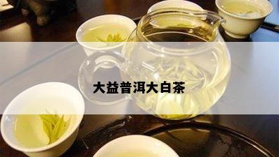 大益普洱大白茶