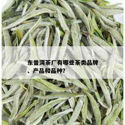 东普洱茶厂有哪些茶类品牌、产品和品种？