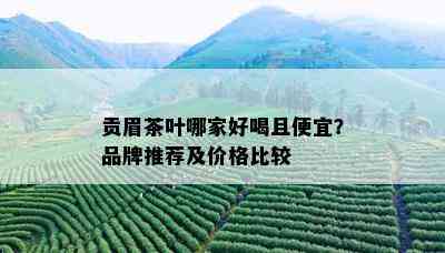 贡眉茶叶哪家好喝且便宜？品牌推荐及价格比较