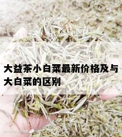 大益茶小白菜最新价格及与大白菜的区别