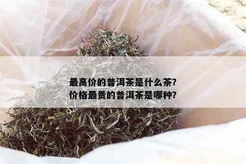 更高价的普洱茶是什么茶？价格最贵的普洱茶是哪种？