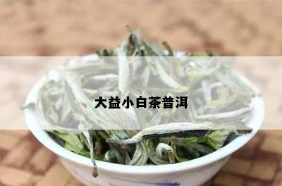 大益小白茶普洱