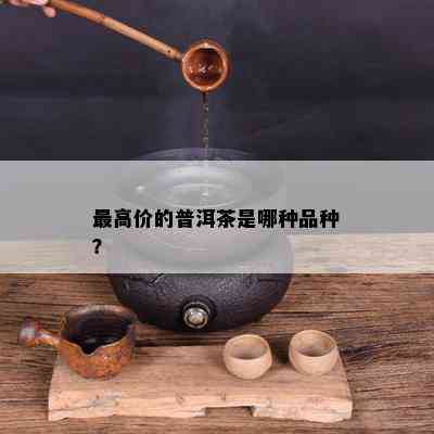 更高价的普洱茶是哪种品种？